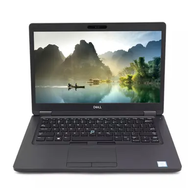 Dell Latitude E5290